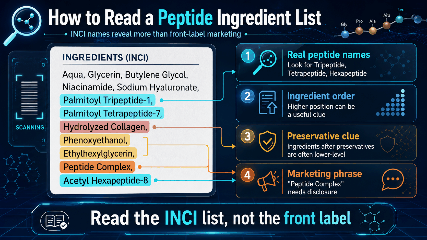 Peptide ingredient list infographic showing INCI label reading and preservative clue