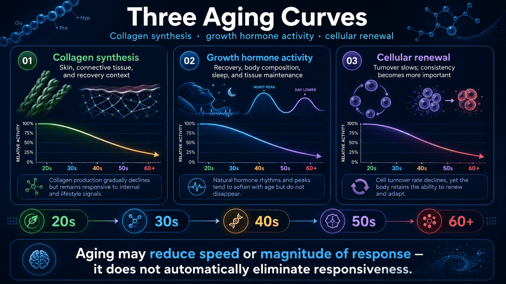 Three aging curves infographic showing collagen synthesis growth hormone activity and cellular renewal