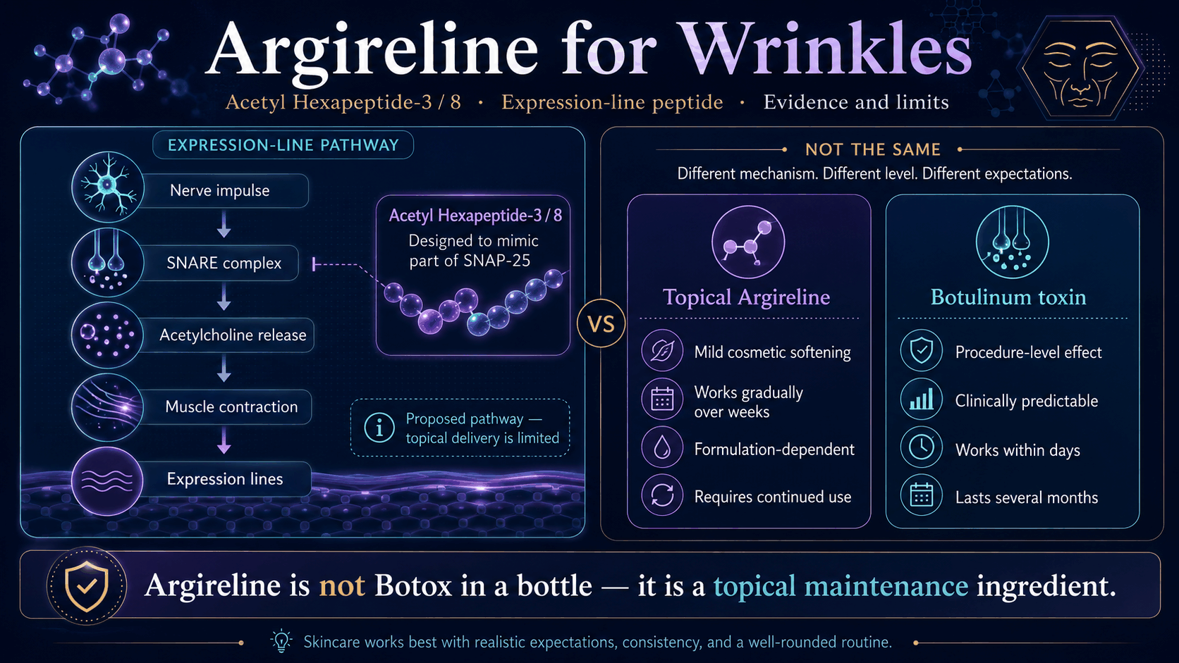 Argireline mechanism infographic showing expression-line pathway and Botox comparison