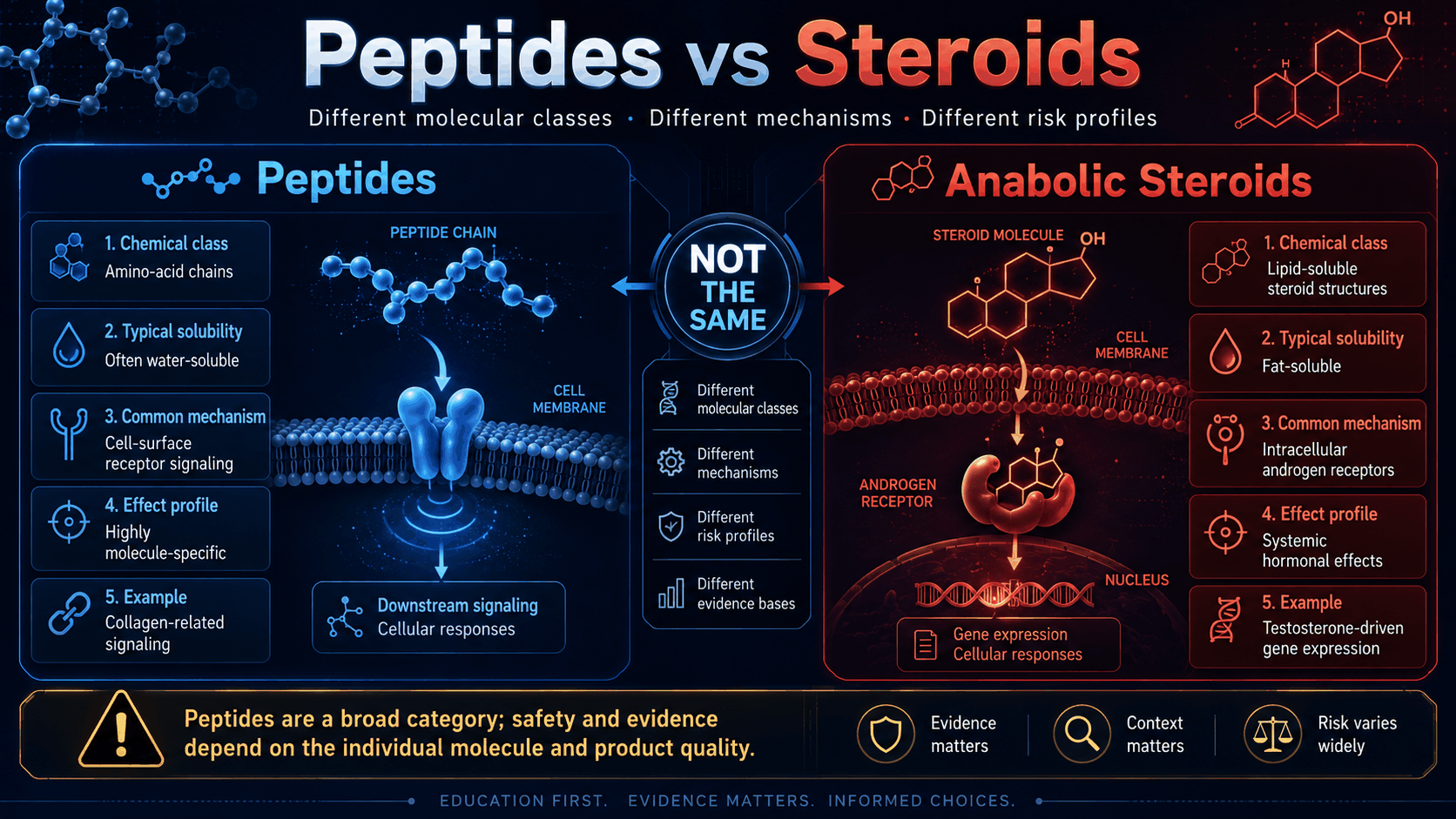 Peptides versus steroids molecular mechanism comparison infographic