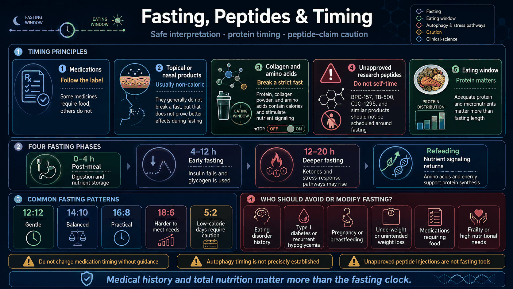 Fasting peptides and safe timing infographic