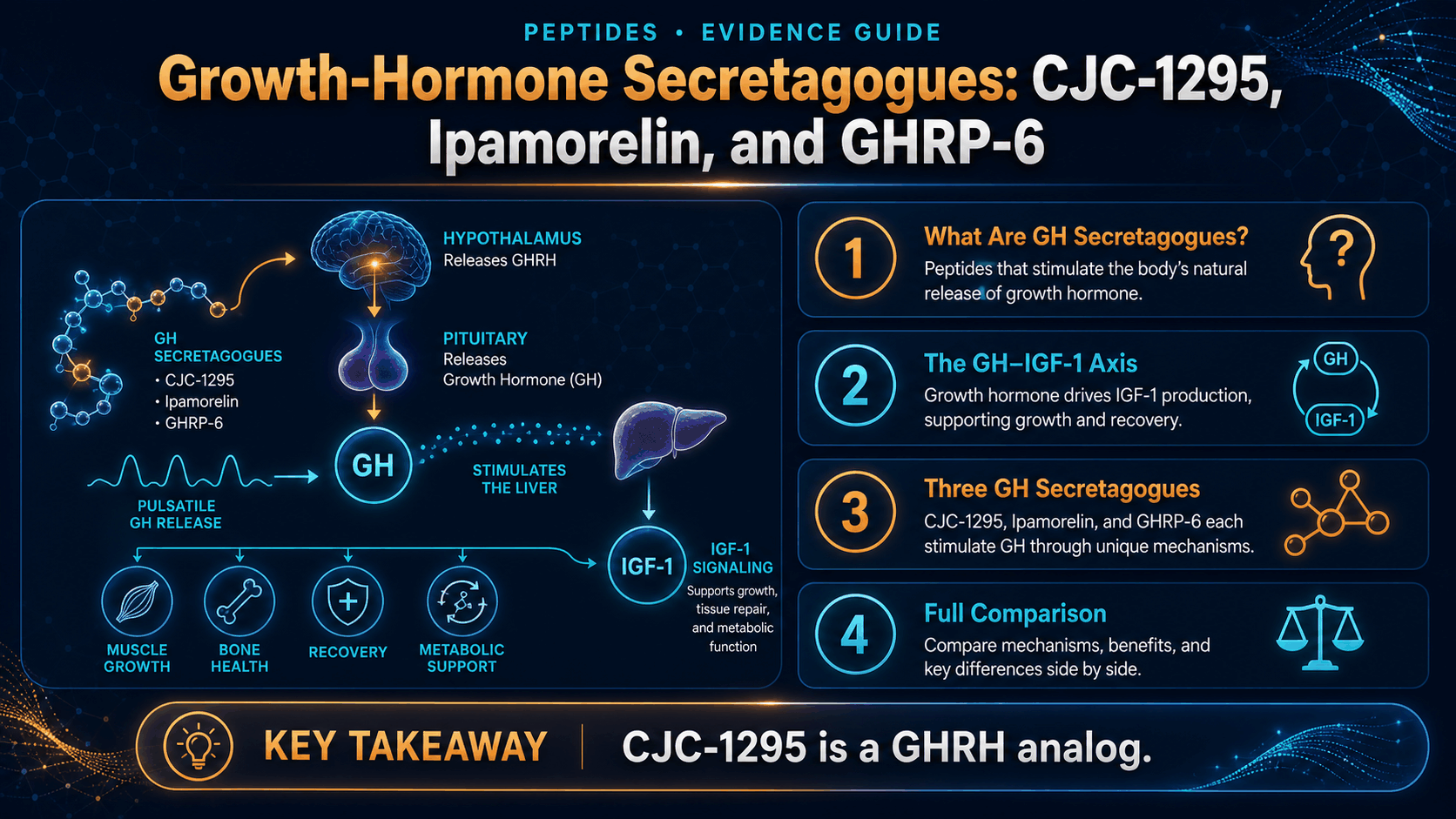 Growth-Hormone Secretagogues: CJC-1295, Ipamorelin, and GHRP-6 — image 1