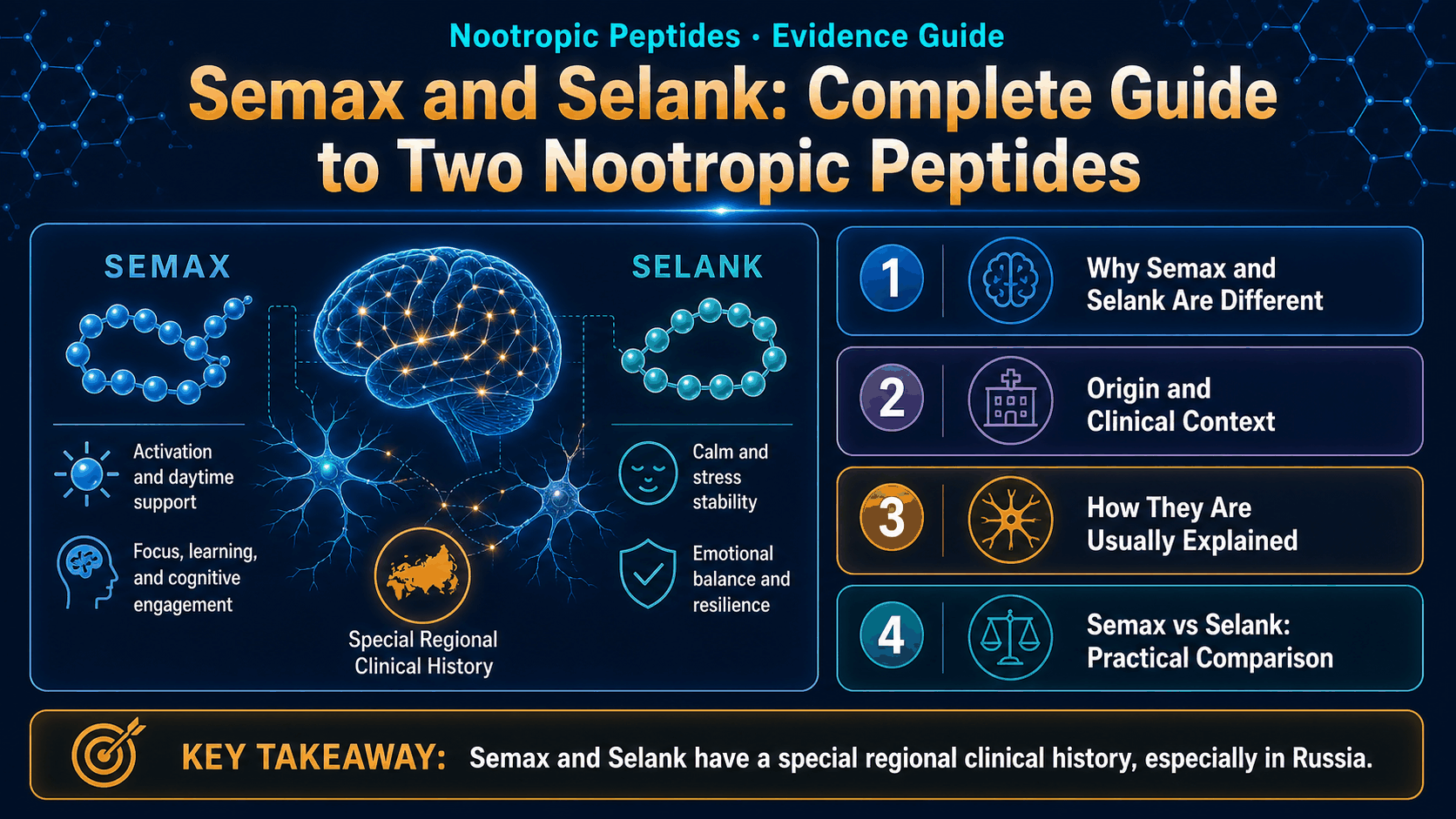 Educational comparison illustration for Semax and Selank mechanisms and safety boundaries