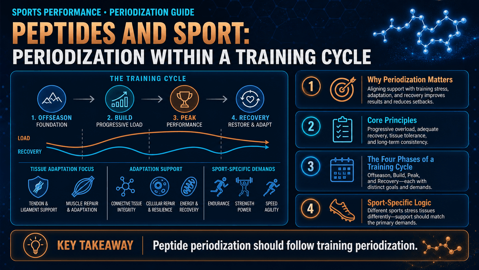 Peptides and Sport: Periodization Within a Training Cycle — image 1