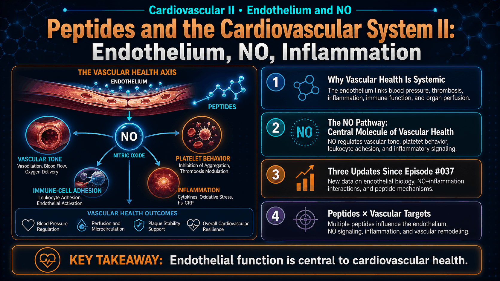 Peptides and the Cardiovascular System II: Endothelium, NO, Inflammation — image 1