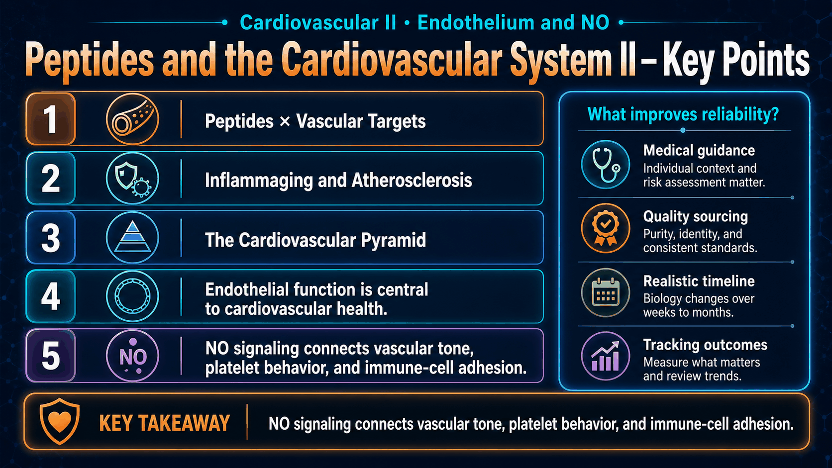 Peptides and the Cardiovascular System II: Endothelium, NO, Inflammation — image 2