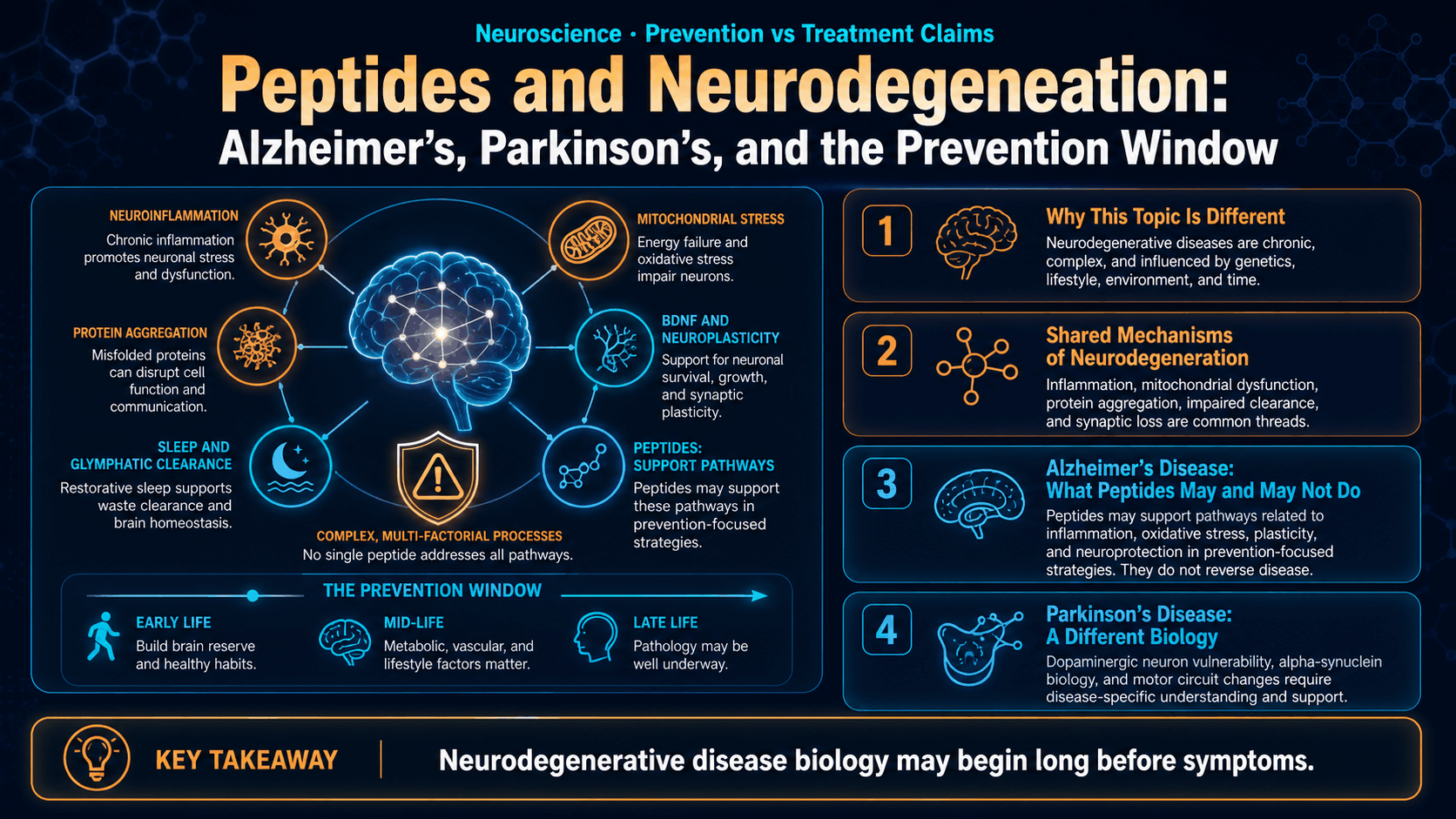 Peptides and Neurodegeneration: Alzheimer’s, Parkinson’s, and the Prevention Window — image 1