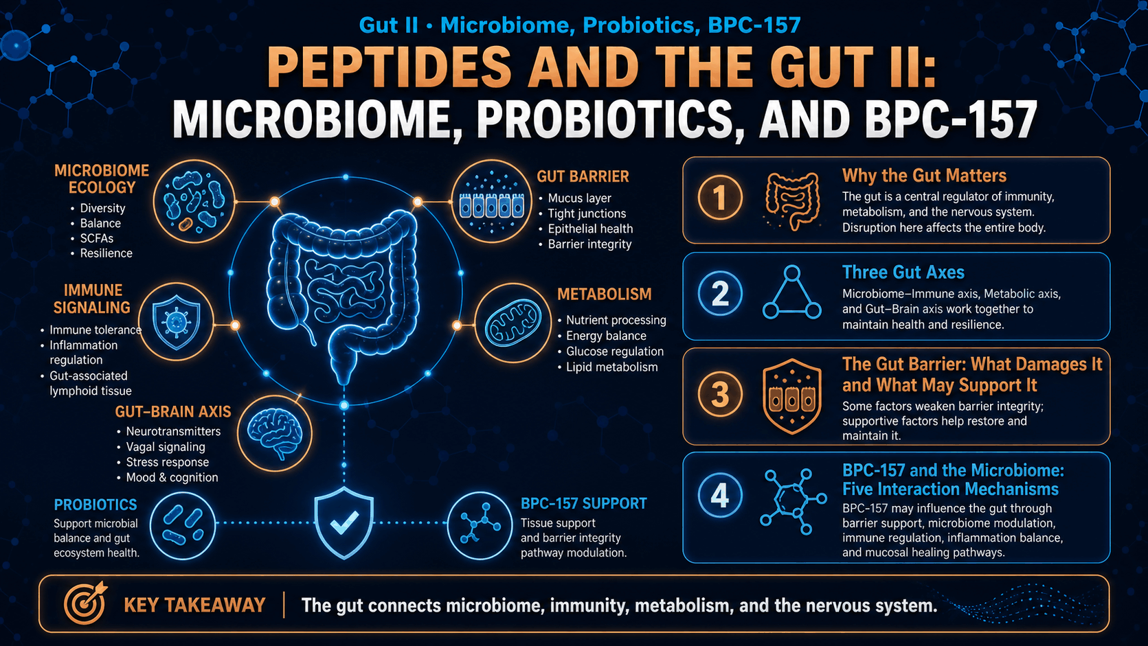 Peptides and the Gut II: Microbiome, Probiotics, and BPC-157 — image 1