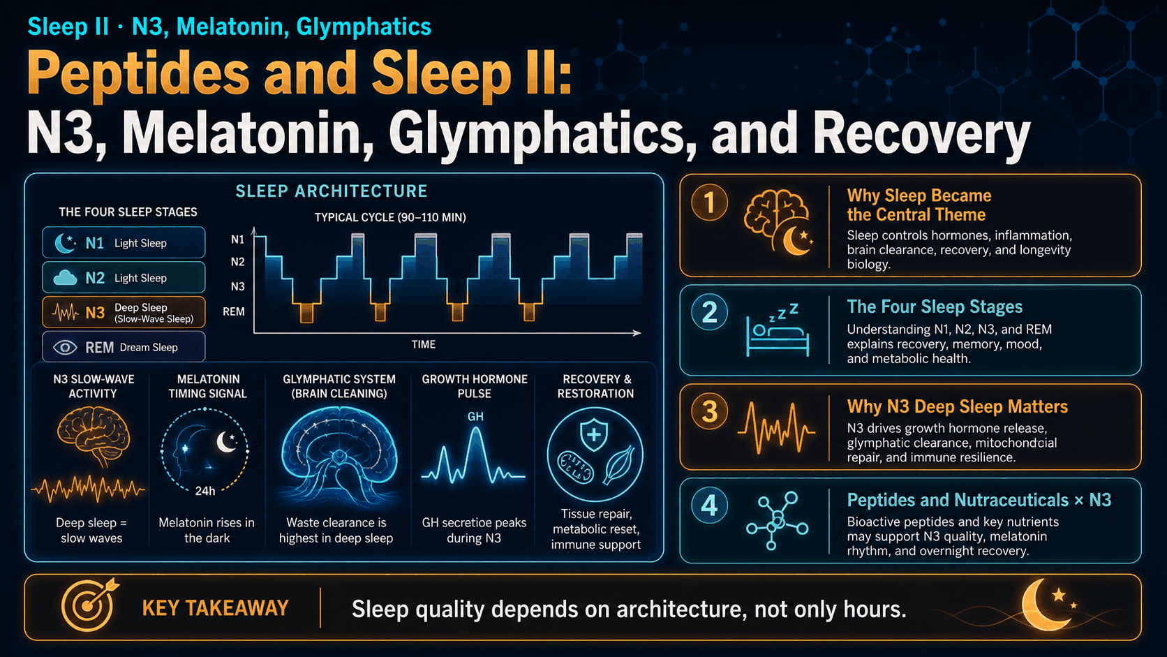 Peptides and Sleep II: N3, Melatonin, Glymphatics, and Recovery — image 1