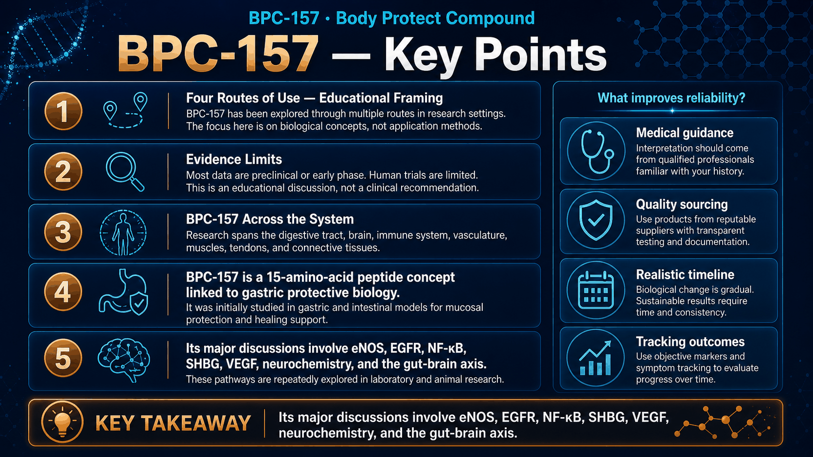 BPC-157: Full Breakdown — Gut Protection, Inflammation, and Systemic Biology — image 2