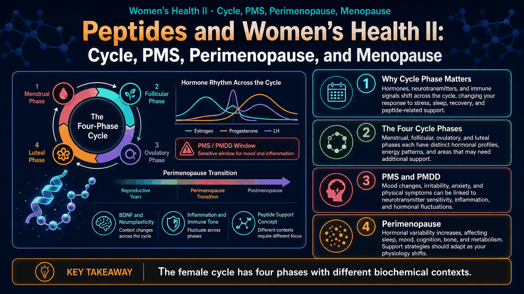 Peptides and Women’s Health II: Cycle, PMS, Perimenopause, and Menopause — image 1