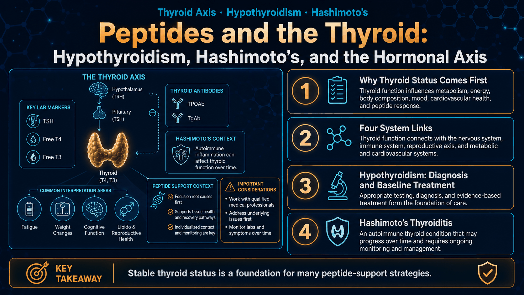 Peptides and the Thyroid: Hypothyroidism, Hashimoto’s, and the Hormonal Axis — image 1