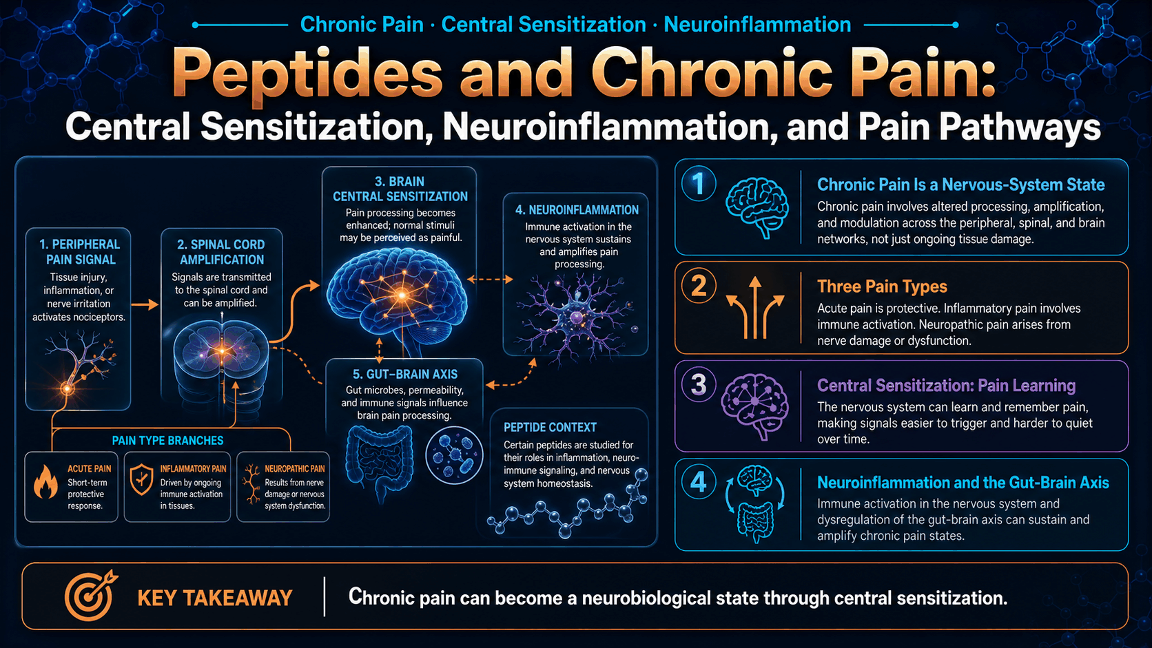 Peptides and Chronic Pain: Central Sensitization, Neuroinflammation, and Pain Pathways — image 1