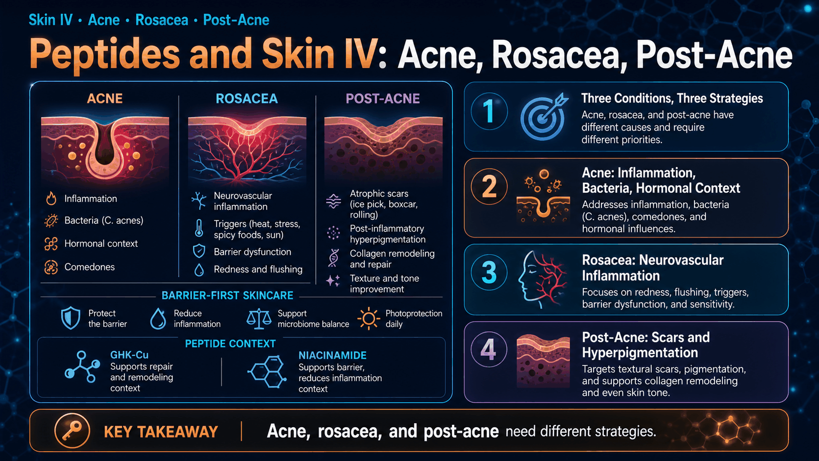 Peptides and Skin IV: Acne, Rosacea, Post-Acne — image 1