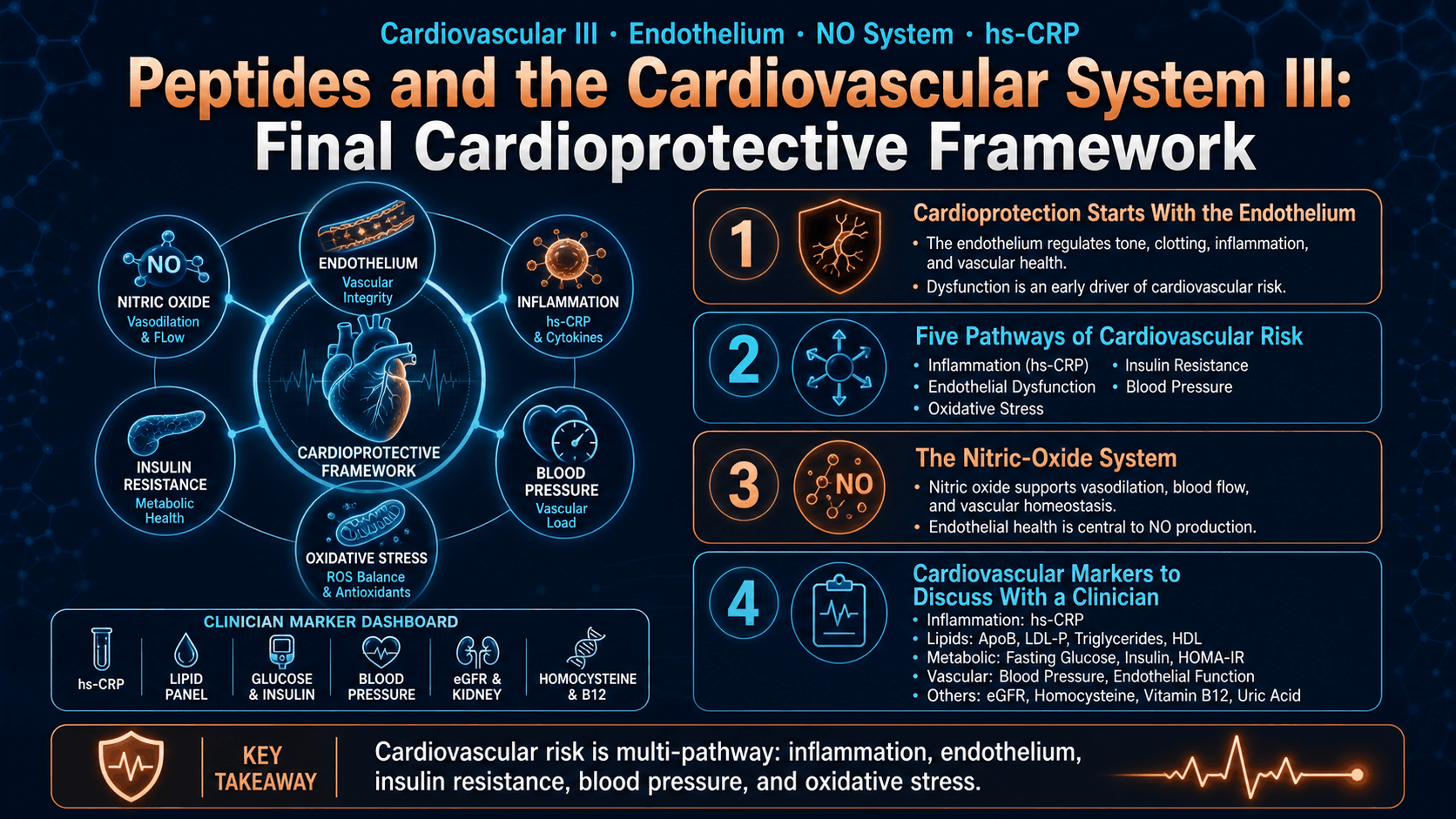 Peptides and the Cardiovascular System III: Final Cardioprotective Framework — image 1