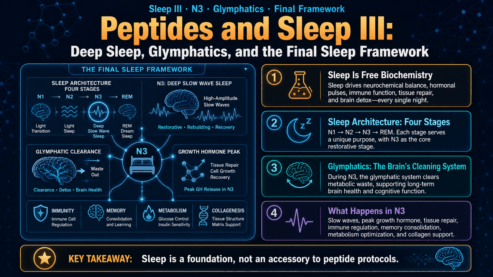 Peptides and Sleep III: Deep Sleep, Glymphatics, and the Final Sleep Framework — image 1
