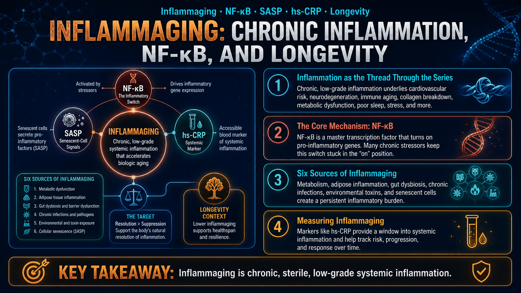 Inflammaging: Chronic Inflammation, NF‑κB, and Longevity — image 1